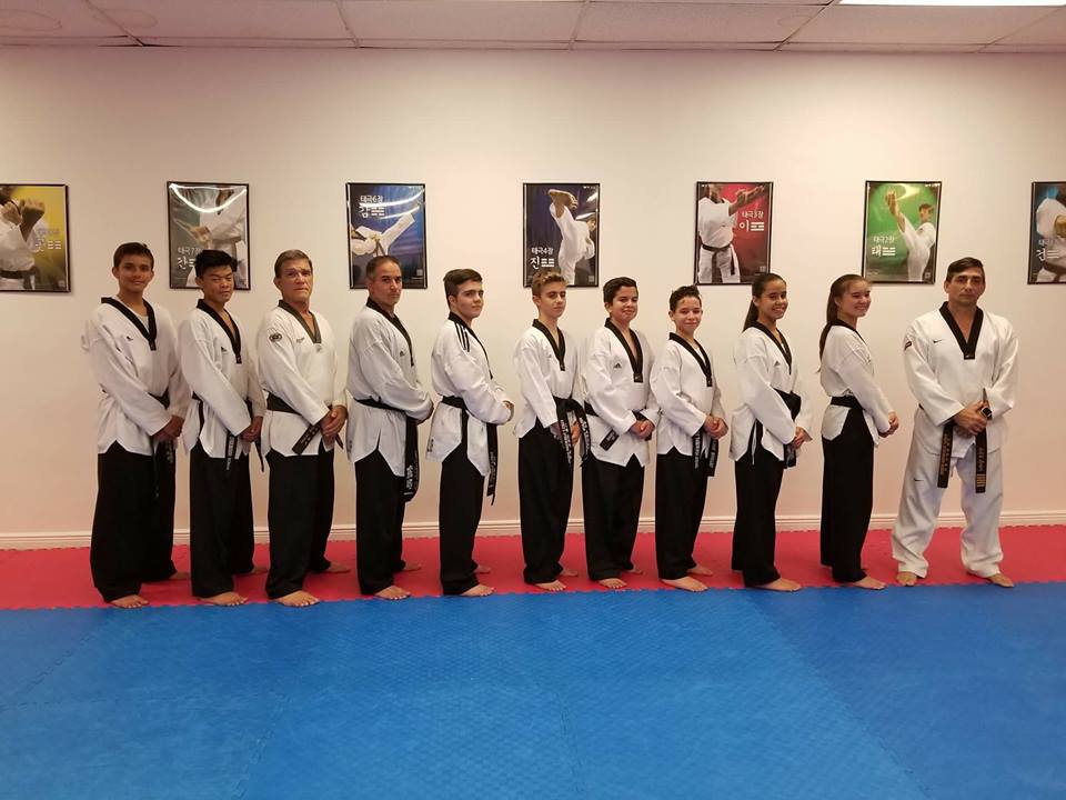 Adult Taekwondo sparring and training